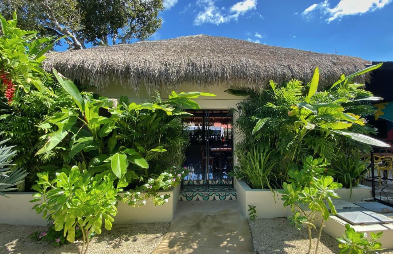 Blue Palm Bacalar Hotel Екстериор снимка